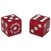 Fabulous Las Vegas Dice...Quantity 25 Pack